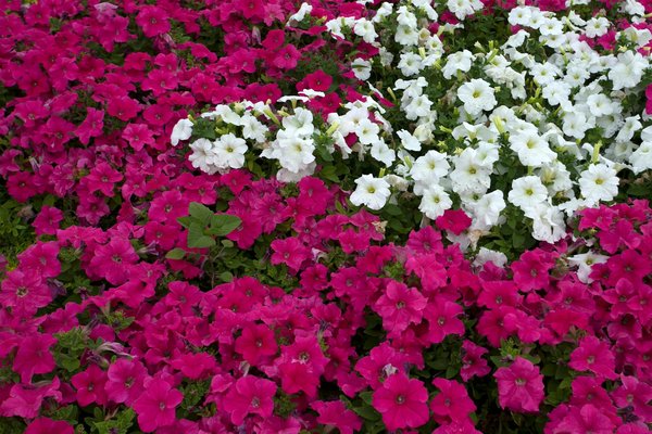 Le Lexique Ultime du Prêt Immobilier : Décryptez le Jargon Facilement